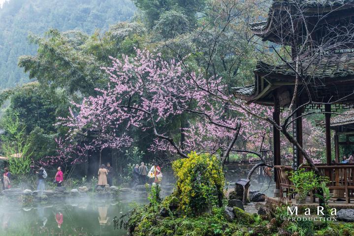 迷你汽车记忆卡